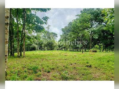 Land &middot; For sale