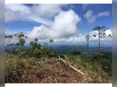 Land &middot; For sale